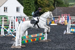 Class 5 - Fences not above 2'6